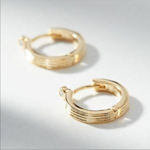 Anthropologie isadora hoop gold earrings
